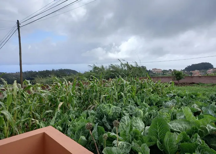 Casa Da Montanha * Achadas da Cruz